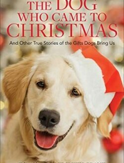 9780800737924 Dog Who Came To Christmas