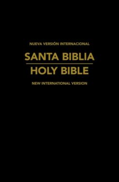 9781563206573 NVI NIV Spanish English Bible
