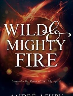9781641230926 Wild And Mighty Fire