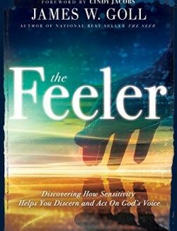 9781641235822 Feeler : Discovering How Sensitivity Helps You Discern And Act On Gods Voic