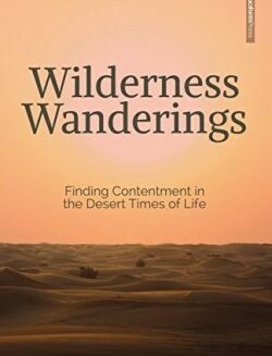 9781941114520 Wilderness Wanderings : Finding Contentment In The Desert Times Of Life