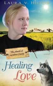 9781603745062 Healing Love : A Novel