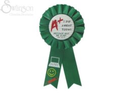 788200788040 A Plus I Did Great Today Award Ribbon Badge