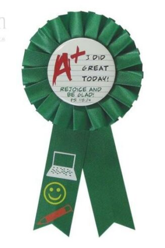 788200788040 A Plus I Did Great Today Award Ribbon Badge