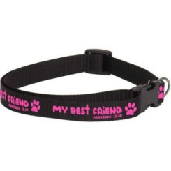 889901479395 My Best Friend Dog Collar