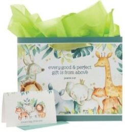 1220000322370 Every Good And Perfect Gift Forest Animals With Card James 1:17