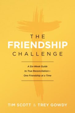 9781496430687 Friendship Challenge