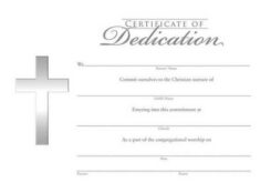 081407008844 Certificate Of Dedication