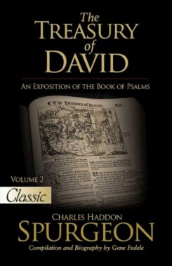 9781610369923 Treasury Of David Volume 2