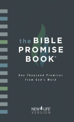 9781597895200 Bible Promise Book New Life Version