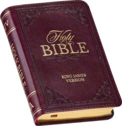 9781642729184 Mini Pocket Edition Bible