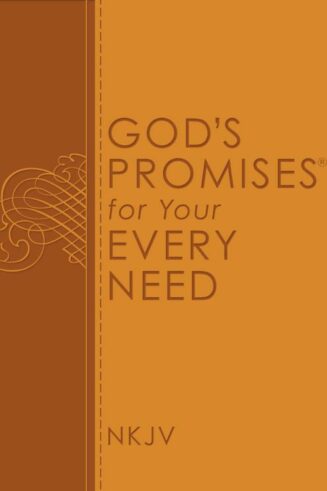 9780529100801 Gods Promises For Your Every Need NJKV