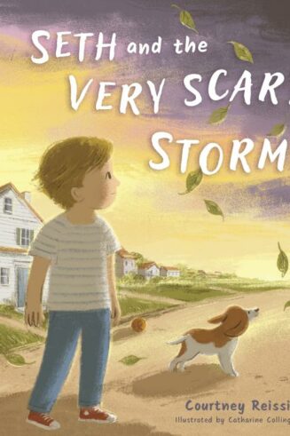9798384529781 Seth And The Very Scary Storm